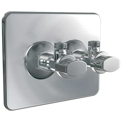 Image de Watts Industries Cache Robifix® avec Robinet 50 mm