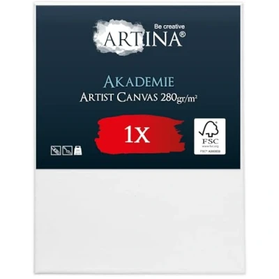 Image de Artina Canvas Toile Peinture 40x50 cm Tableau Châssis Entoilés en Bois FSC© a Peindre Blanche 100% Coton 280g/m² Toiles à Stable Akademie