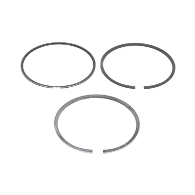 Image de GOETZE ENGINE 08 429300 00 Jeu De Segments Pistons 79,5 LKZ Ring FIAT: Doblo II Van / Break, Grande Punto 3/5 portes, Break