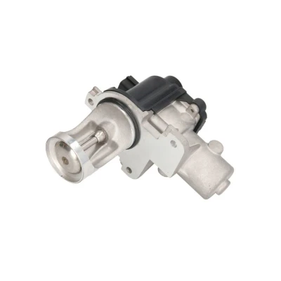 Image de MAGNETI MARELLI 571822112079 Vanne EGR VOLKSWAGEN: Transporter 5, 5 Bus, Passat B5 GP Berline, AUDI: A4 B7 Avant, Berline