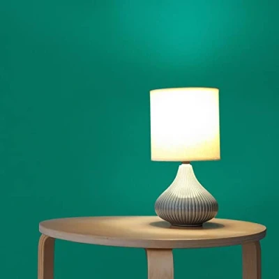 Image de WTD Papier peint uni M1 n 3249 Vert
