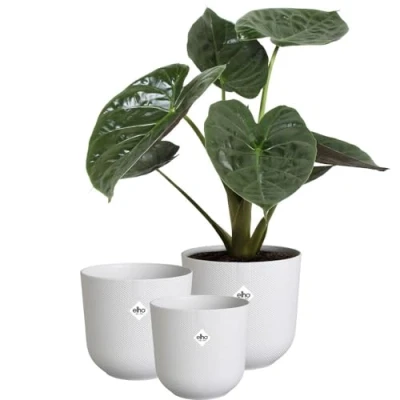Image de Elho Jazz Round Pot de Fleurs Plantes d&#039;Intérieur Plastique 100% Recyclé Structure Unique Lot 3 Ø 14, 16, 19 cm Blanc/Blanc Soie