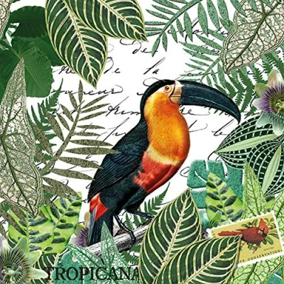 Image de Lot de 20 serviettes toucan sur feuilles la jungle Motif animaux 33 x cm