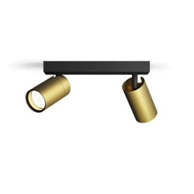 Image de Philips Idris, spot à 2 têtes, lampe GU10 non incluse, laiton, IP44, résistant l&#039;eau