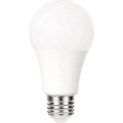 Image de Integral Ampoule LED GLS E27 non dimmable à double capteur crépusculaire Blanc lumière du jour 5000K, 470lm, 4,8W (équivalent 40W) Basse consommation et idéale pour l&#039;extérieur