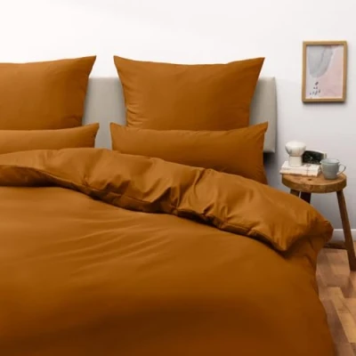 Image de Blumtal Parure de lit 180 en microfibre avec housse couette 260 x 240 cm et 2 taies d&#039;oreiller 70 40 cm, certifié Oeko Tex, très doux respirant Pumpkin Spice Marron