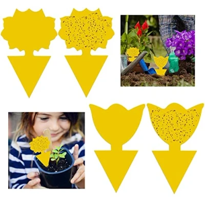 Image de GeekerChip 50pcs Plug in Pièges à Insectes Engluées Autocollants Colle Double,ES Mouches des Feuilles et la vermine,idéal pour Les Plantes sur Le Balcon ou dans Jardin(2 Formes)