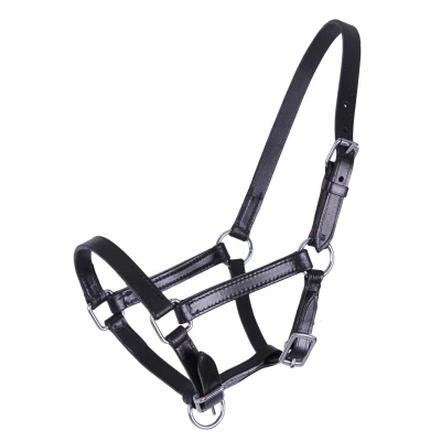 Image de Licol pour poulain en cuir QHP Chico