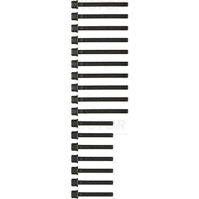 Image de REINZ 14 32174 02 Jeu De Vis Culasse Polygone intérieur VOLKSWAGEN: Transporter 4 Bus, Golf 4, FORD: Galaxy Mk1 MPV