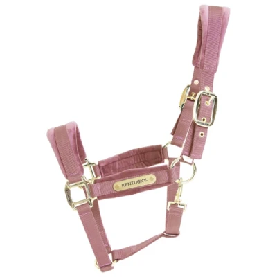 Image de Kentucky Licol velours Rose Vieux Cob