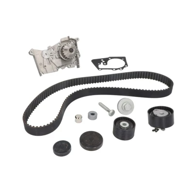 Image de BOSCH 1 987 946 389 Pompe à Eau + Kit De Distribution 132 RENAULT: Modus / Grand Modus, CLIO 3, MEGANE 2
