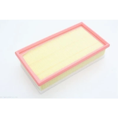 Image de AUTOMEGA 180029410 Filtre à air 58 135 253 rectangulaire Cartouche filtrante avec préfiltre CITROËN: C5 3, Jumpy II Van, III Break