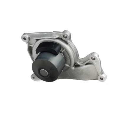 Image de Pompe à eau DOLZ R231
