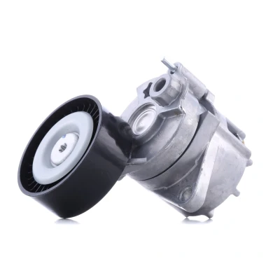 Image de SNR GA351.08 Poulie Tendeur MERCEDES BENZ: Vito Mixto, Classe C Coupe, ML, JEEP: GRAND CHEROKEE 2 oscaro, mister auto, yakarouler