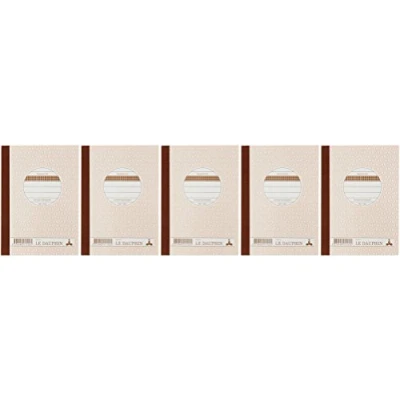 Image de Le Dauphin Réf. 1102D Lot de 5 manifolds papier autocopiant quadrillés 5x5 petits carreaux duplicata 50 feuilles format 14,8 x 10,5 cm couverture vernie