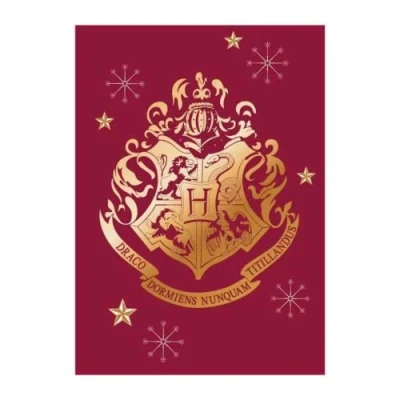 Image de AYMAX S.P.R.L Couverture polaire Hogwarts Harry Potter 140 x 100 cm