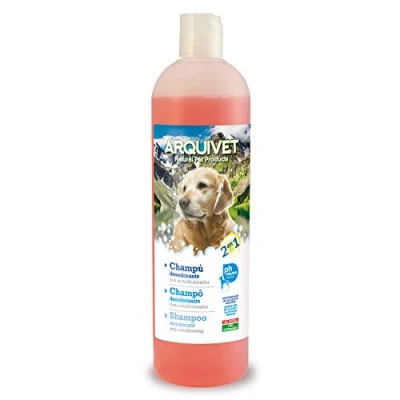 Image de Arquivet 8435117825345 L&#039;Oréal Shampoing Déodorant 2 en 1 750 ML