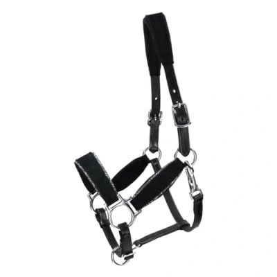 Image de HB Licol Showtime Velvet Little Sizes Noir/Argent Mini Shetland