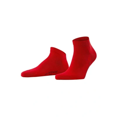 Image de Falke COOL 24/7 Chaussettes, Homme, Taille: 45 46, Rot