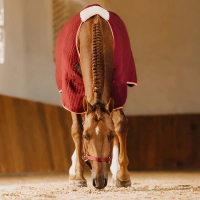 Image de Kentucky Cooler rug PROTherm Bordeaux