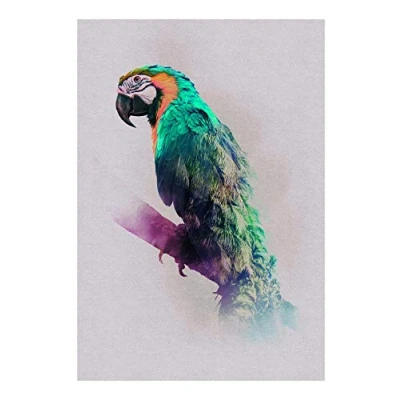 Image de Komar Tableau mural Animaux Paradis Perroquet Poster Image Salon Chambre Décoration Art Print Sans Cadre P083B 50x70 Dimensions : 50 x 70 cm (largeur hauteur)
