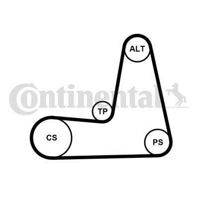 Image de CONTITECH 5PK1110K1 Jeu de courroies trapézoïdales à nervures RENAULT: CLIO 2, MEGANE 1 Coach, Scénic 1, DACIA: Sandero I, Lodgy, Logan I MCV