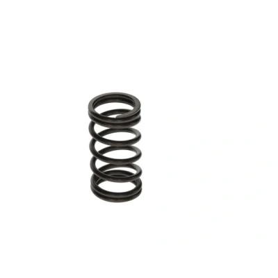 Image de BOSCH F 00N 200 141 Ressort