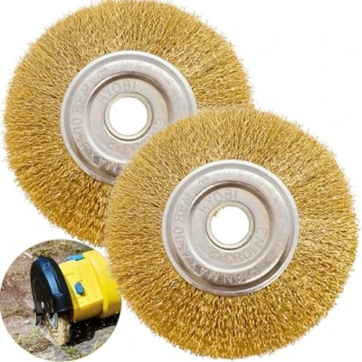 Image de MonoFresh Lot de 2 brosses à joints en fil d&#039;acier Compatible avec Gloria Multibrush et autres métalliques 10 mm large Brosse ronde rechange