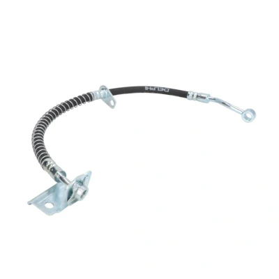 Image de DELPHI LH7041 Flexible De Frein 431 Banjo