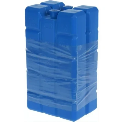 Image de 261y11 Accumulateur Glace Ice Pack 2 x 40