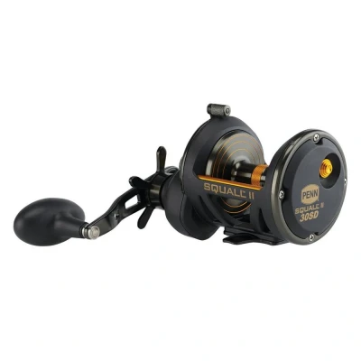 Image de Penn Squall® II Star Drag Zeevis Reel RH 30 SD