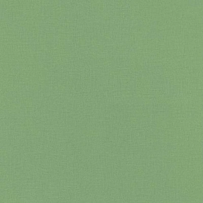 Image de Rasch Papier peint intissé universel Vert 10,05 x 0,53 m
