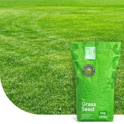 Image de Fast Repair Mélange De Sursemis/récupération Germination Rapide 5 KG 250 M² MRS Seeds &amp; Mixtures