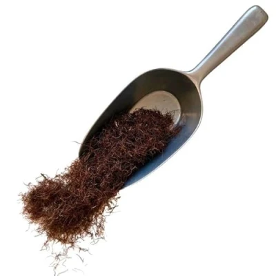 Image de Tisane maïs stigmate 1 KILO ENTIER (Barbe) Zea