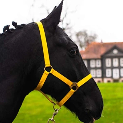 Image de licol pour cheval sang chaud, froid, froid d&#039;écurie, de pâturage, 2 positions réglage au niveau la mentonnière et têtière, sûr indéchirable (jaune, froid)