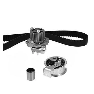 Image de Pompe à eau + kit de courroie distribution METELLI 30 1355 6