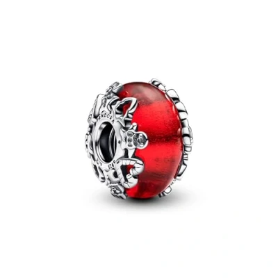 Image de Pandora Femmes Charm Argent 793597C00