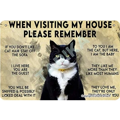 Image de Plaque décorative murale en fer avec inscription « When Visiting My House Please Remember Love Cat Rules » 20 x 30 cm
