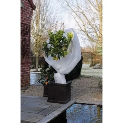 Image de Nature Couverture en polaire d&#039;hiver 30 g/m² Blanc 2x10 m