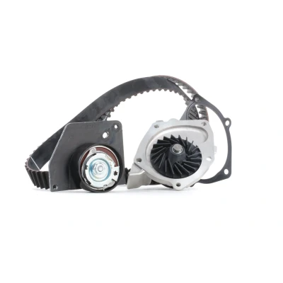 Image de SKF VKMC 06008 Pompe à Eau + Kit De Distribution avec joints 133 RENAULT: MEGANE 3, SCENIC Grand SUZUKI: Vitara 2 SUV