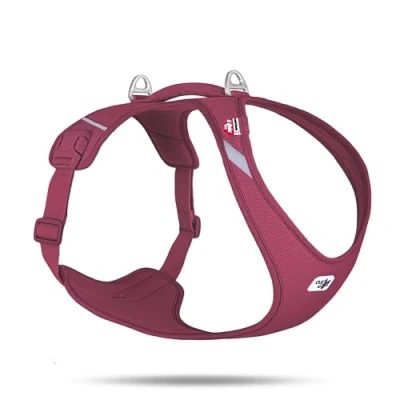 Image de Belka Harness Air Mesh Ruby XL