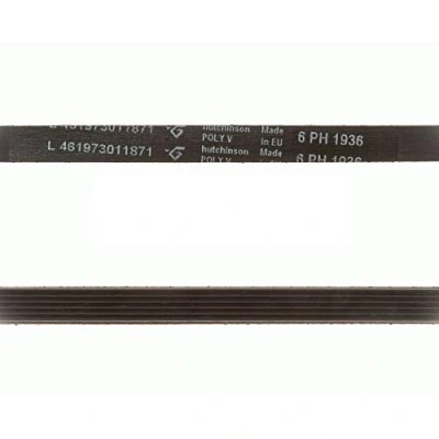 Image de Recamania Courroie pour sèche linge Whirlpool 1936 H6 Mod AWZ7817, AM3795, AWL635