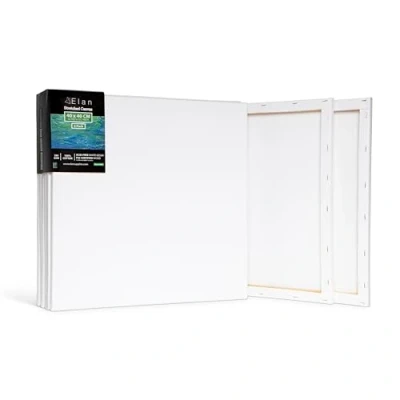 Image de Elan Toile à Peindre 40x40, 100% Coton 6 Pack de Toiles Pré étirées, Peinture, Vierge, Canvas Peindre, Chassis Entoilé, a
