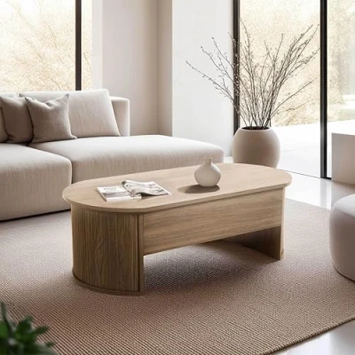 Image de Oviala Table Basse Ovale avec Plateau relevable Effet Bois Clair