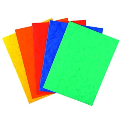 Image de Exacompta Réf. 220000E Paquet de 25 chemises en carte lustrée 225 g/m² certifiées FSC dimensions 24 x 32 cm pour documents format A4 5 couleurs assorties