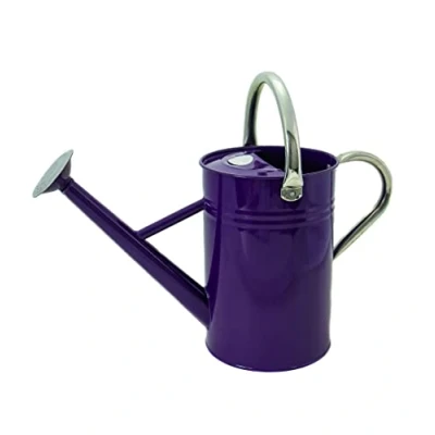 Image de Kent &amp; Stowe Arrosoir Vintage Violet de 4,5 litres en Acier galvanisé pour Un arrosage Quotidien, Carafe Style Anglais Classique avec 2 poignées