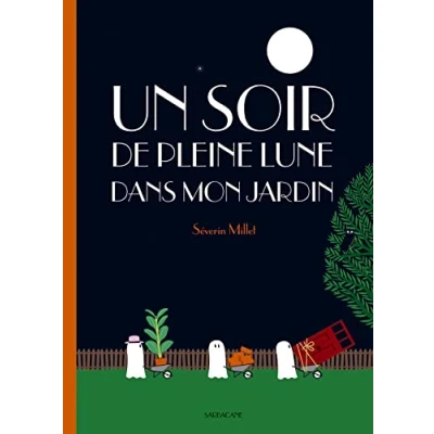 Image de Un soir de pleine lune dans mon jardin