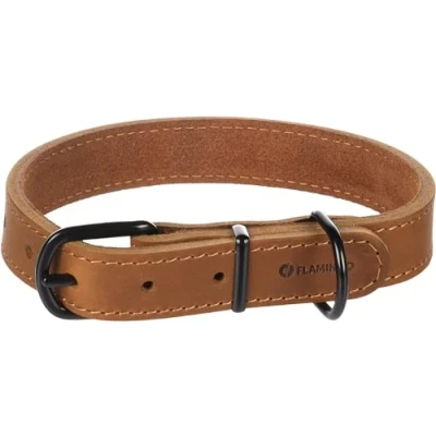 Image de Flamingo Collier Montana Cuir Cognac M/L 38,5 48,5cm x 25mm avec Rivets et Boucle a Une Finition Brillante Noire