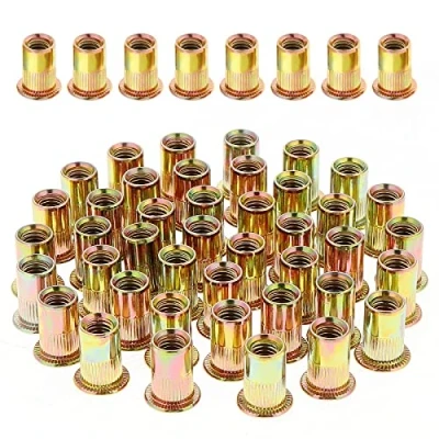 Image de Gueenky 100 Pièces Écrou à Rivet M10 Fileté Tête Plate, Écrous Riveter Fileter en Acier au Carbone Zingué, Assortiment Inserts Filetés pour Métal Plastique (17 mm x 21 mm)