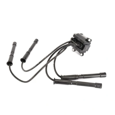 Image de MAGNETI MARELLI 060717055012 Bobine d&#039;allumage RENAULT: CLIO 2, TWINGO 1, Kangoo I